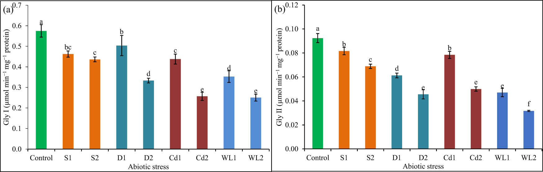 Figure 8 
                  Gly I (a) and Gly II (b) activities of C. olitorius plants affected by different abiotic stresses. S1, S2, D1, D2, Cd1, Cd2, WL1, and WL2 represent 200 mM of NaCl, 400 mM of NaCl, 10 days of water deficit, 15 days of water deficit, 2 mM of CdCl2, 4 mM of CdCl2, 5 days of waterlogging, and 15 days of waterlogging, respectively. Mean value (±SD) was calculated from three replicates for each treatment. Values in a column with different letters are significantly different at p ≤ 0.05 applying LSD test.
               