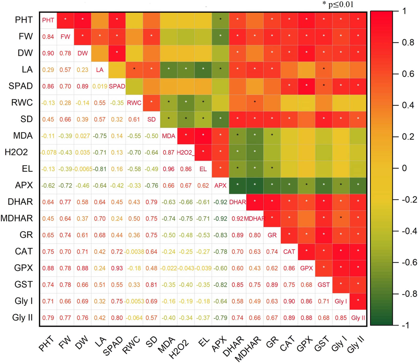 Figure 9 
                  Correlation analysis of different studied parameters (PHT – Plant height; LA – Leaf area; FW – Fresh weight; DW – Dry weight; SD – Stem diameter; SPAD; RWC – Relative water content; EL – Electrolyte leakage; MDA – Malondialdehyde; H2O2 – Hydrogen peroxide content; APX – Ascorbate peroxidase; CAT – Catalase activity; GPX – Glutathione peroxidase; GST – Glutathione S-transferase; DHAR – Dehydroascorbate reductase; MDHAR – Monodehydroascorbate reductase; GR – Glutathione reductase; Gly I – Glyoxalase I; Gly II – Glyoxalase II).
               
