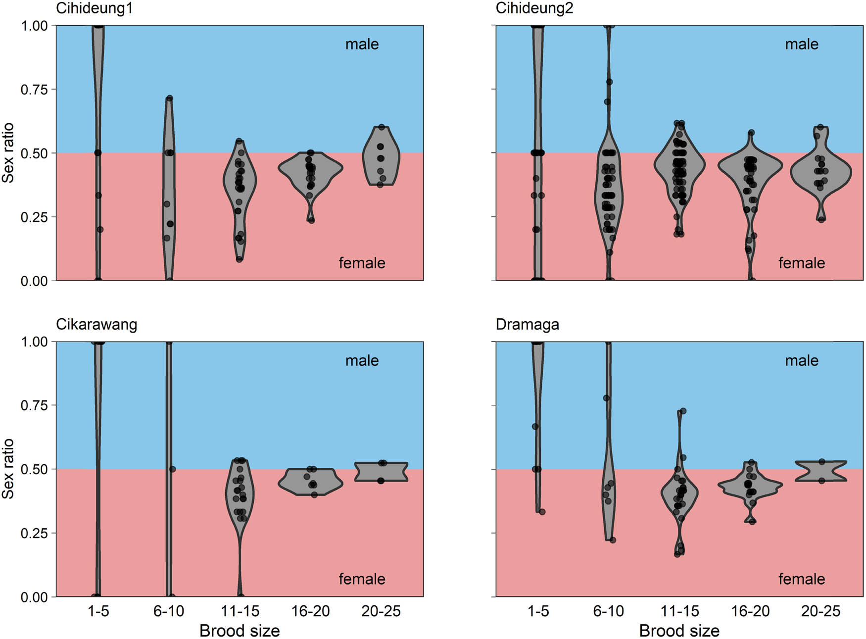Figure 3
Relationship between brood size and sex ratio of Apanteles taragamae in all research locations. The black dot representing the sex ratio obtained for each observed brood size.