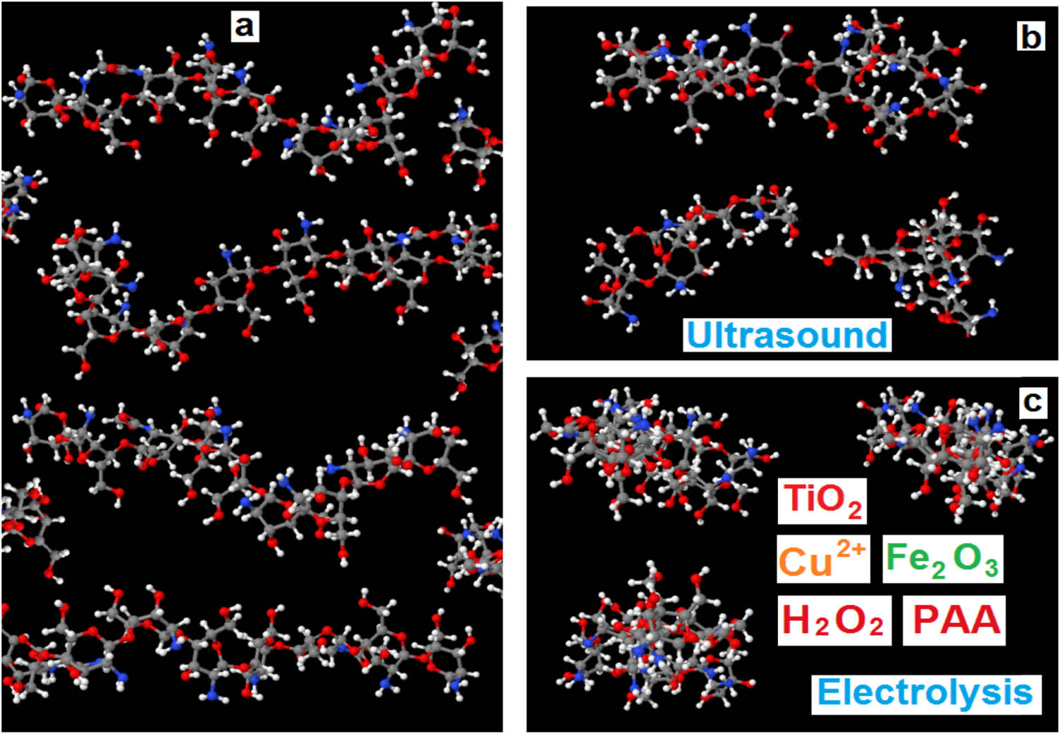 Figure 1
The scheme of the molecular structure and 3D spatial arrangement of chitosan molecules in the artificial cuticle film: (a) native (untreated) chitosan; (b) chitosan subjected to ultrasound irradiation; (c) electrolytic treatment of chitosan in the presence of Cu2+ metal nanoparticles, oxides (Fe2O3 and TiO2), and peroxide compounds (peroxide acid and PAA).