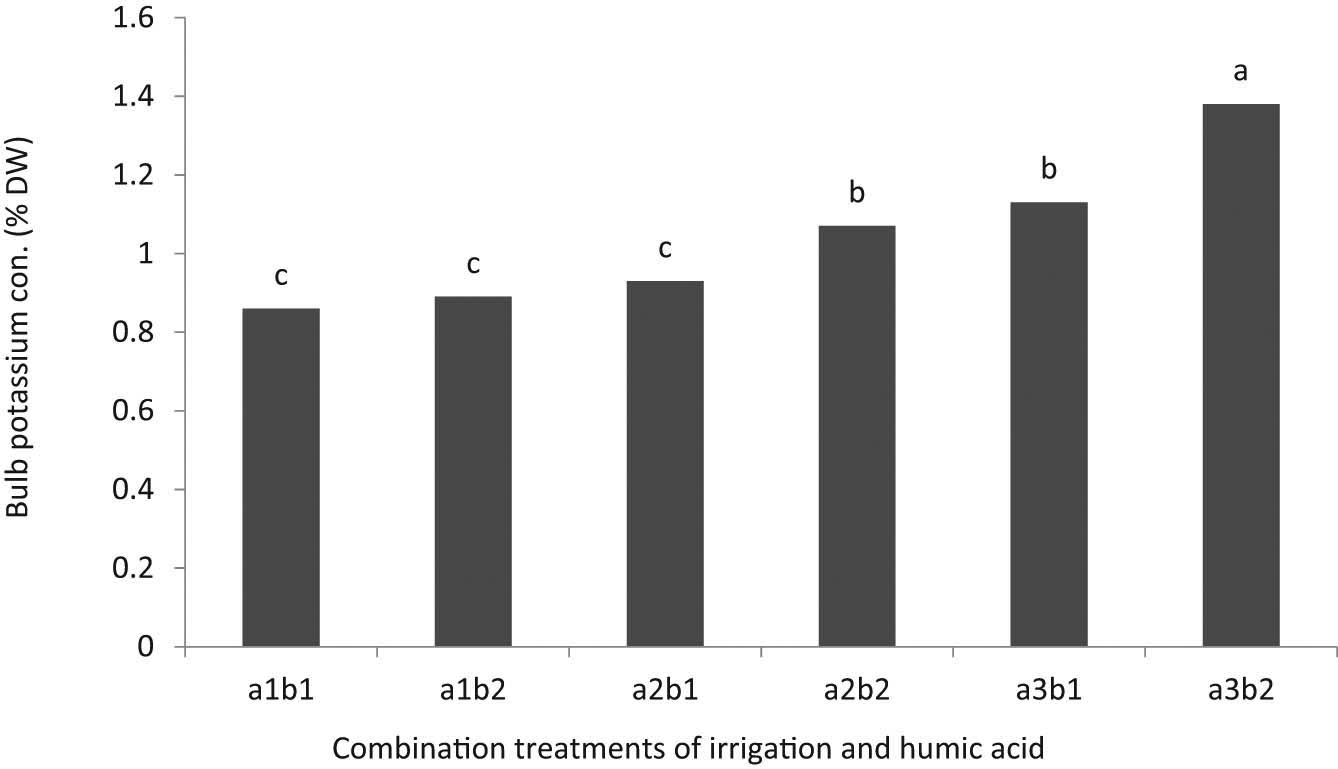 Figure 5
The K concentration of onion bulbs under combination treatments of irrigation (a) and HA (b). The irrigation levels include a1: 80%, a2: 70%, and a3: 60% FC, and HA levels include b1: without and b2: with application. Means with at least one common letter are not statistically significant at 5% level of LSD test.