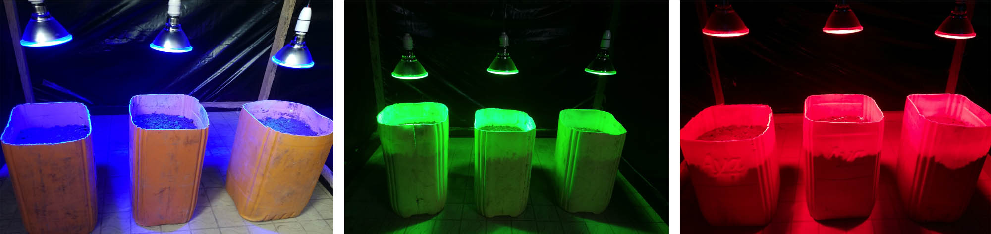 Figure 1
Pots and light treatment inside each box.