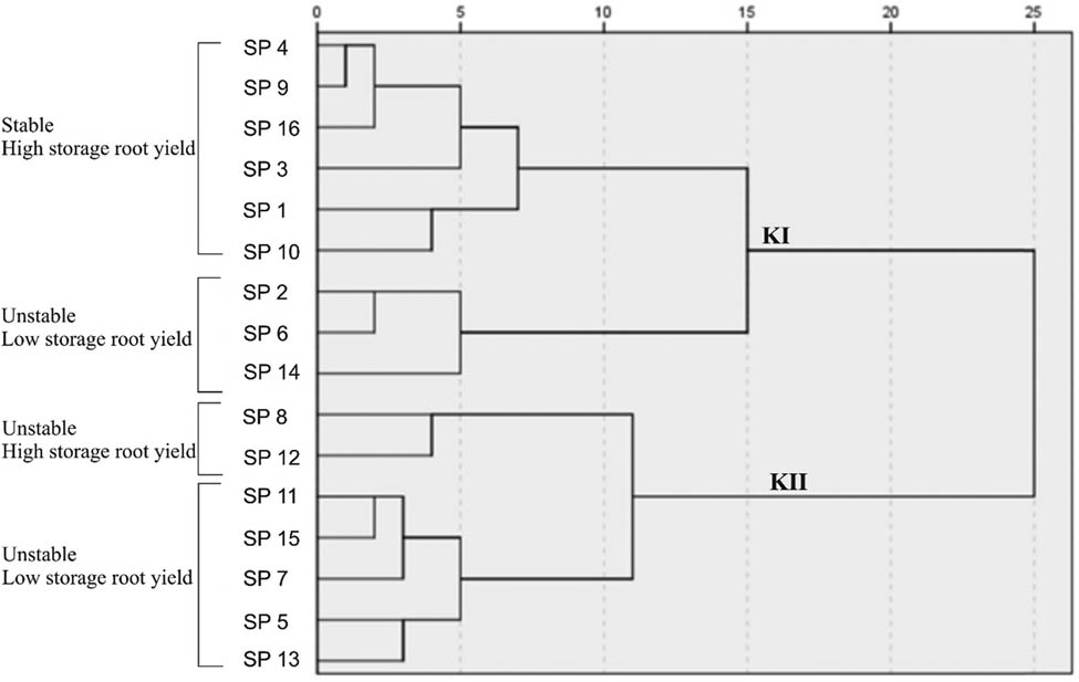 Figure 3
Dendrogram of storage root yield character on 16 honey sweet potato genotype based on stability ranks.