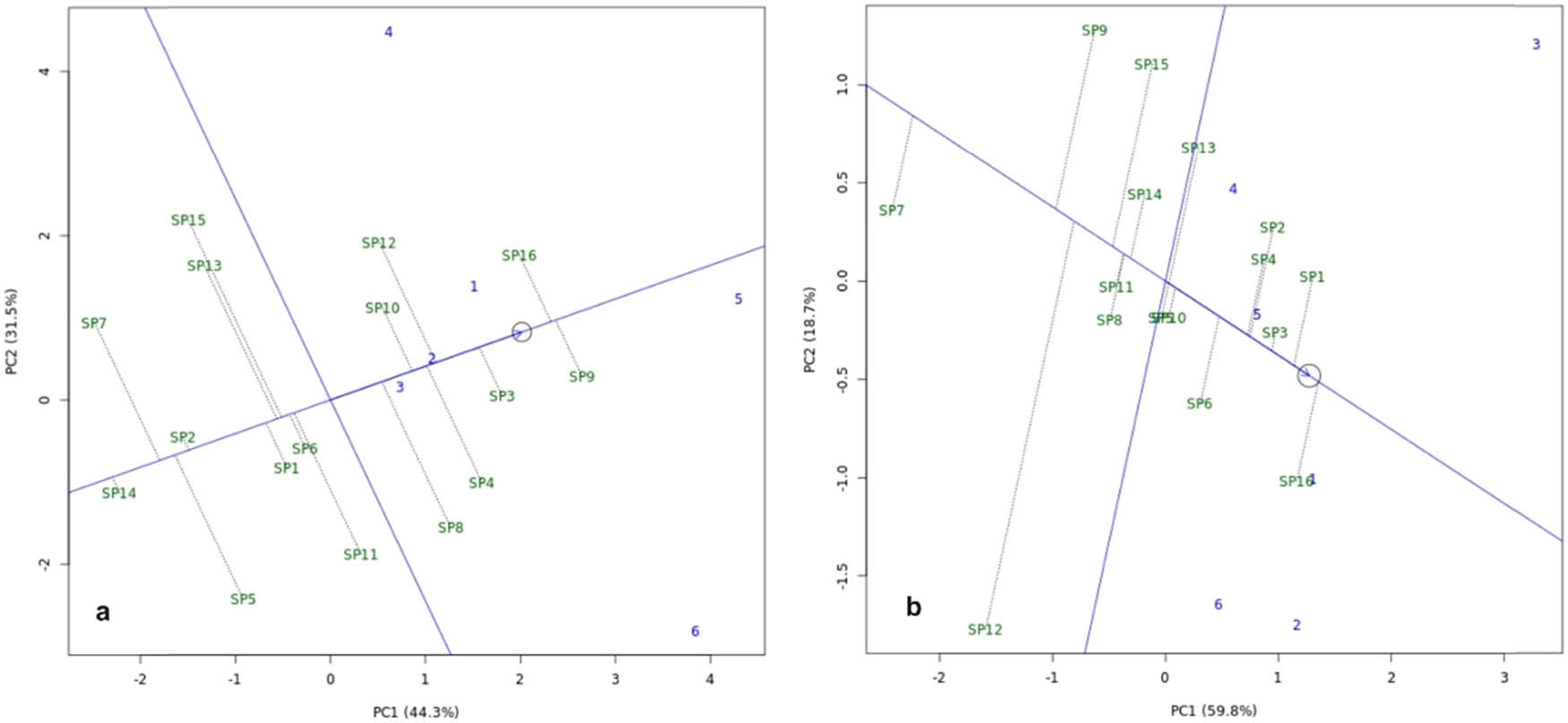 Figure 6
Biplot of average and stability of new honey sweet potato genotypes. (a) Storage root yield character and (b) sweetness character.