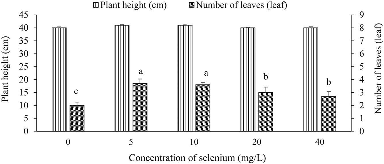Figure 1
Effect of selenium on plant height and number of leaves under drought conditions. Means (±SD, n = 5) with different letters above the bars are significantly different (p < 0.05) according to Duncan’s multiple range test. Means without letters are not significantly different.