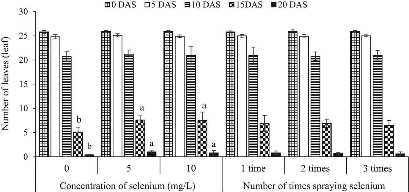 Figure 5
Effect of Se concentration and number of applications on number of leaves. Means (±SD, n = 5) with different letters above the bars are significantly different (p < 0.05) according to Duncan’s multiple range test. Means without letters are not significantly different. DAS = days after sowing.