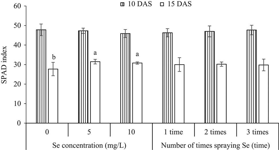 Figure 6
SPAD index of leaves after 15 days of spraying with selenium. Means (±SD, n = 5) with different letters above the bars are significantly different (p < 0.05) according to Duncan’s multiple range test. Means without letters are not significantly different. DAS = days after sowing.