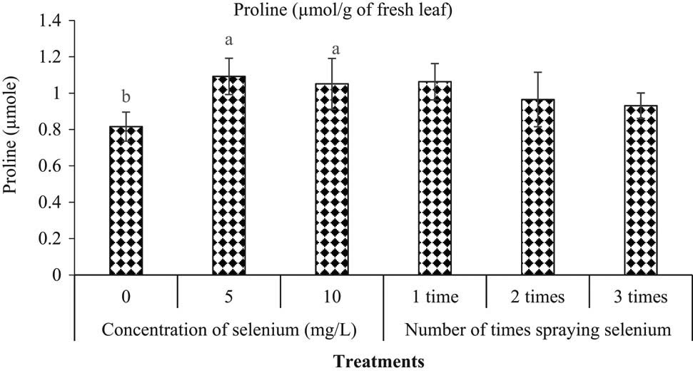 Figure 7
Proline content in fresh leaves after 15 days without irrigation. Means (±SD, n = 5) with different letters above the bars are significantly different (p < 0.05) according to Duncan’s multiple range test. Means without letters are not significantly different.