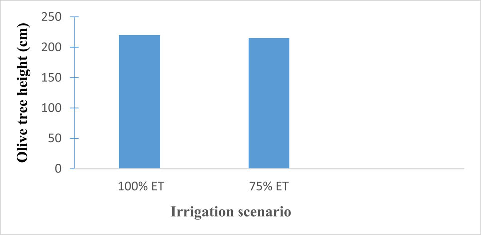 Figure 3
Effect of irrigation scenario on the height of the olive trees (INRA 2019).