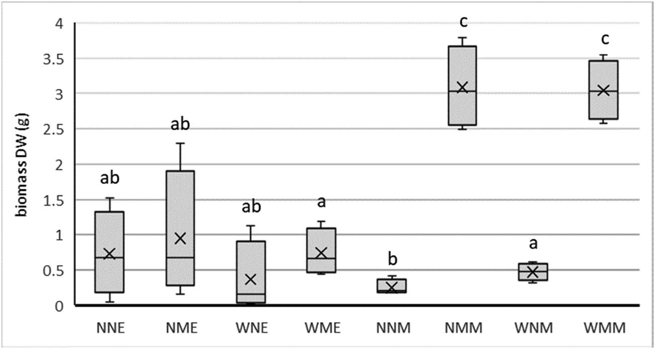 Figure 2 
                  Box plot of the harvested biomass (dry weight) per treatment. Treatment code indicates for first letter for worm (W) or no worm (N) added; for the second letter for manure (M) or no manure (N) added; for the third letter for Earth control (E) and Mars soil simulant (M). Different letters indicate significant differences at p = 0.05.
               