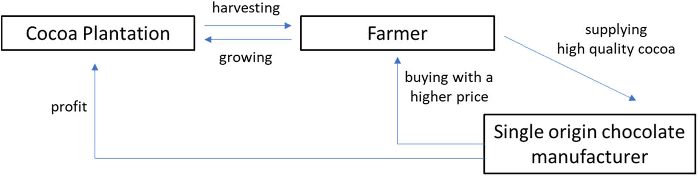 Figure 3 
               Mutual interrelation among cocoa plantation, farmer and single-origin chocolate manufacturer.
            