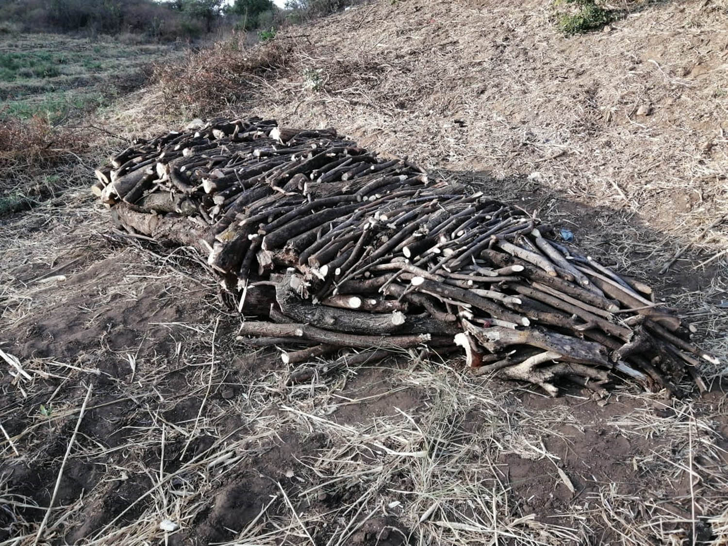 Figure 6 
                  Charcoal burning in Tharaka Nithi County. While tree felling is outlawed in many counties, inadequate oversight and enforcement still allow such land degrading practices to continue.
               