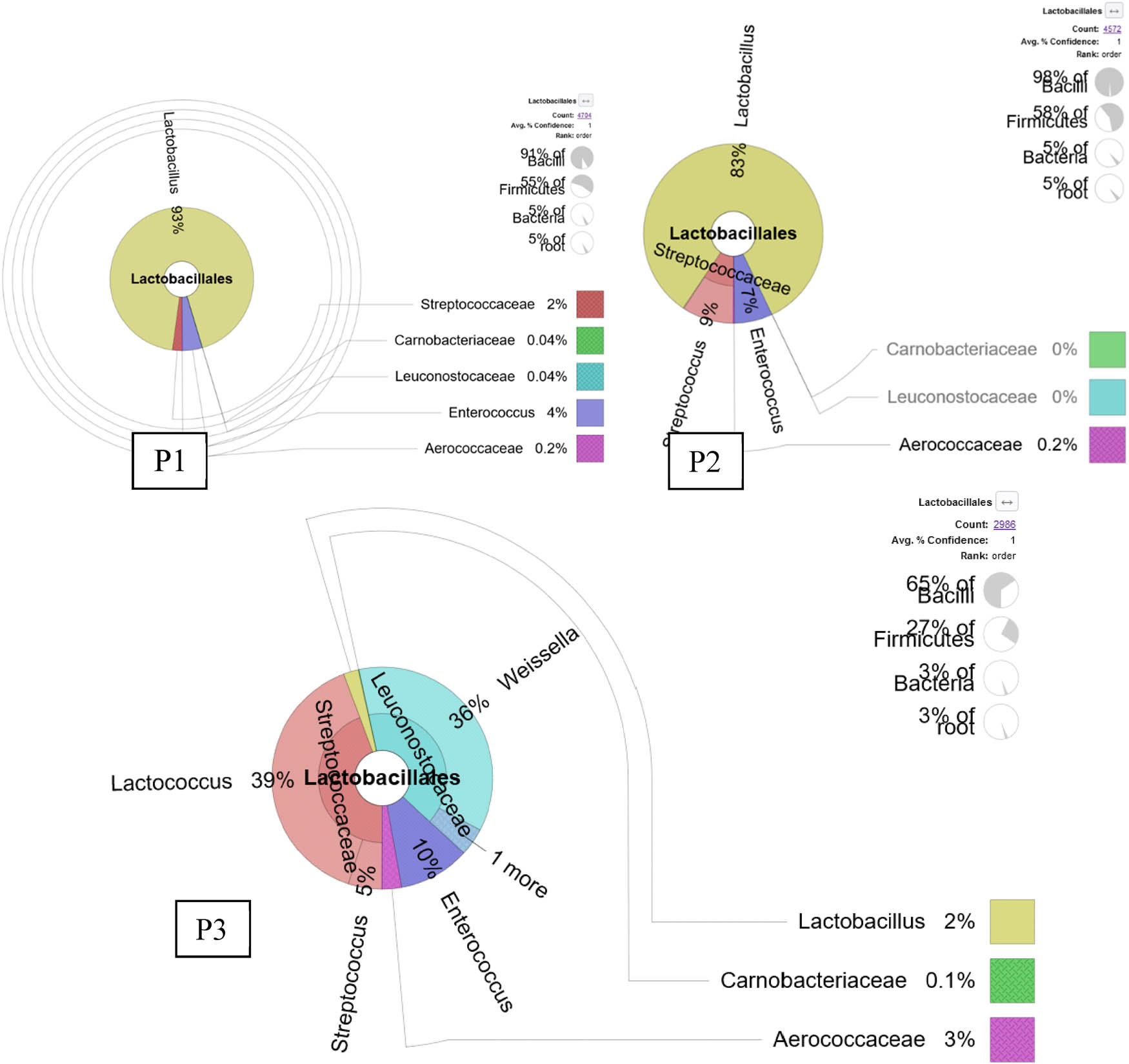 Figure 1
KRONA visually displays the analysis result of taxonomic annotation. Circles from inside to outside stand for different taxonomic ranks, and the area of the sector means a respective proportion of different OTU annotation results. The abundance of Lactobacillus spp. Was detected from the rearing water of commercial shrimp ponds on the day of culture (DOC) 47. P1 is pond 1, P2 is pond 2, and P3 is pond 3.