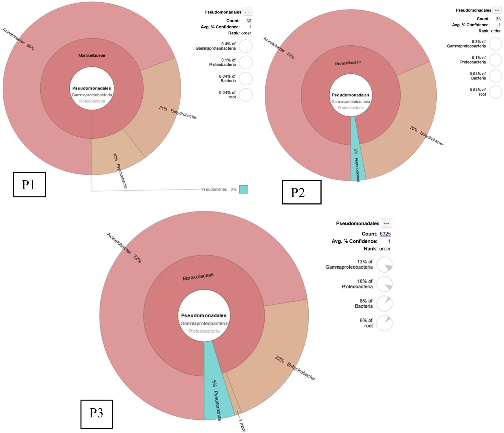 Figure 3
KRONA visually displays the analysis result of taxonomic annotation. Circles from inside to outside stand for different taxonomic ranks, and the area of the sector means a respective proportion of different OTU annotation results. The abundance of Pseudomonas spp. was detected from the rearing water of commercial shrimp ponds. P1 is pond 1, P2 is pond 2, and P3 is pond 3.