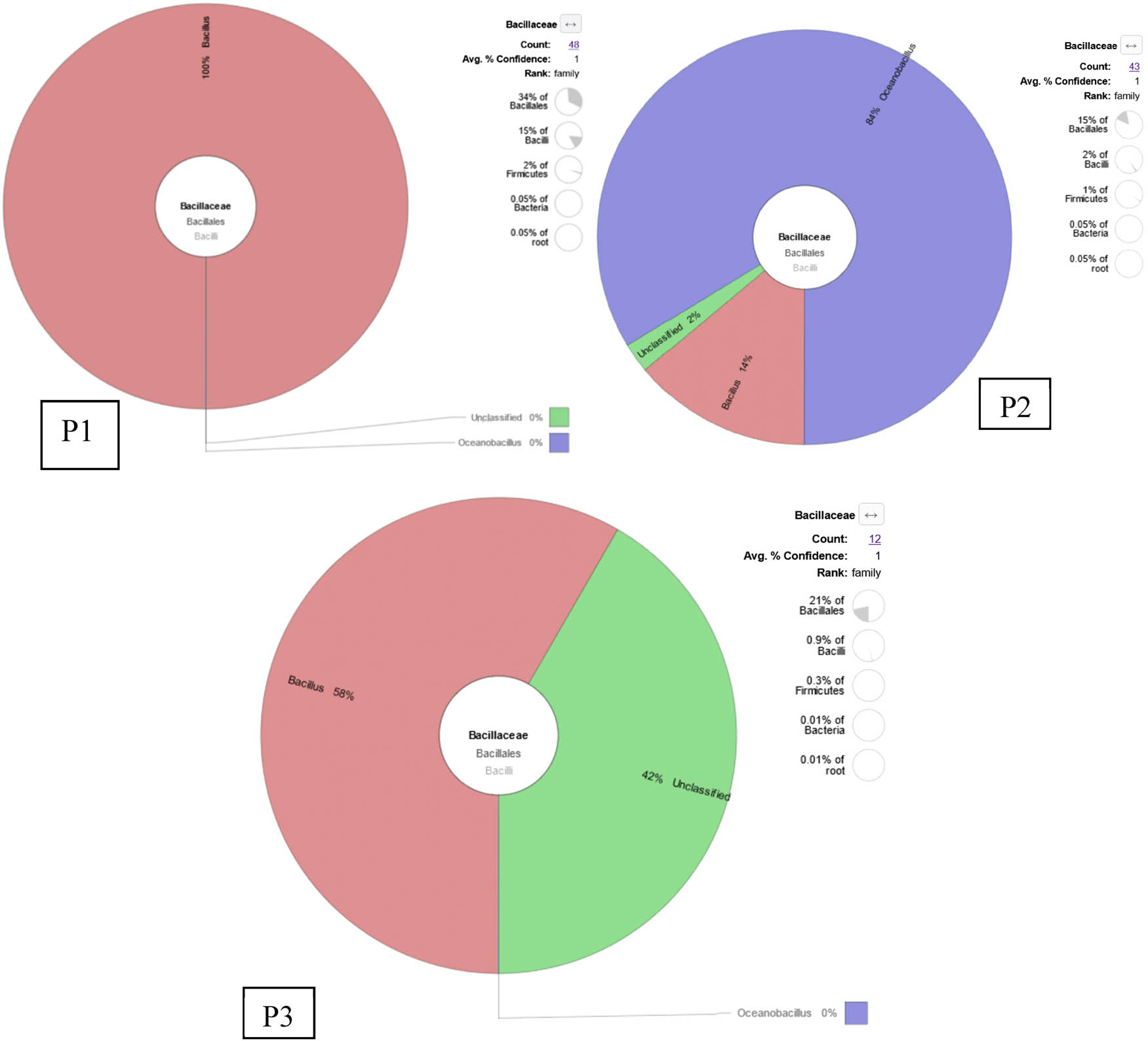 Figure 5
KRONA visually displays the analysis result of taxonomic annotation. Circles from inside to outside stand for different taxonomic ranks, and the area of the sector means the respective proportion of different OTU annotation results. Each figure represents sampling locations (P1 is pond 1, P2 is pond 2, and P3 is pond 3). Each figure consists of ten pooled shrimp intestines.