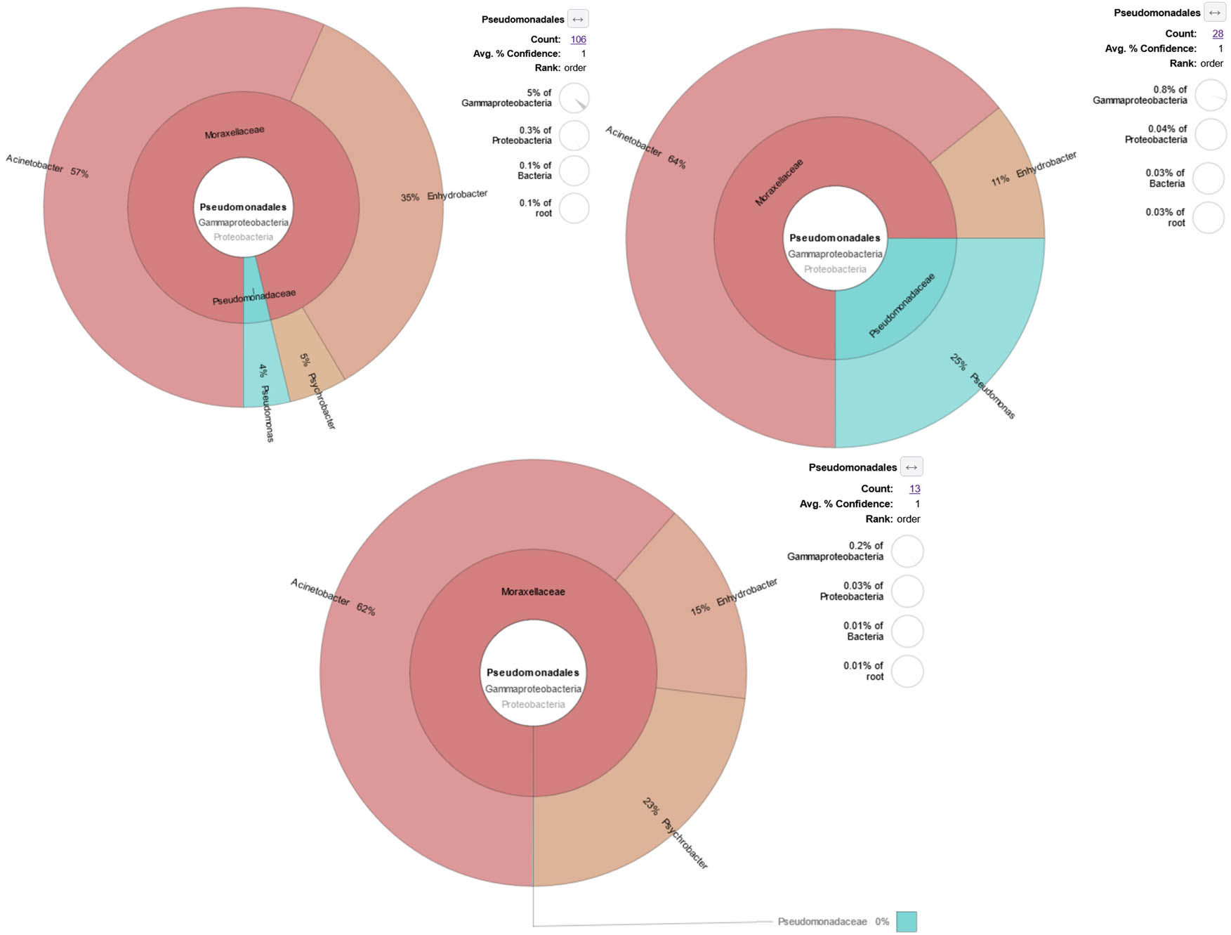 Figure 6
KRONA visually displays the analysis result of taxonomic annotation. Circles from inside to outside stand for different taxonomic ranks, and the area of the sector means the respective proportion of different OTU annotation results. The image depicts the number and proportion of Pseudomonas in the GI tract of white shrimps. Each figure represents sampling locations (P1 is pond 1, P2 is pond 2, and P3 is pond 3). Each figure consists of 10 pooled shrimp intestines.