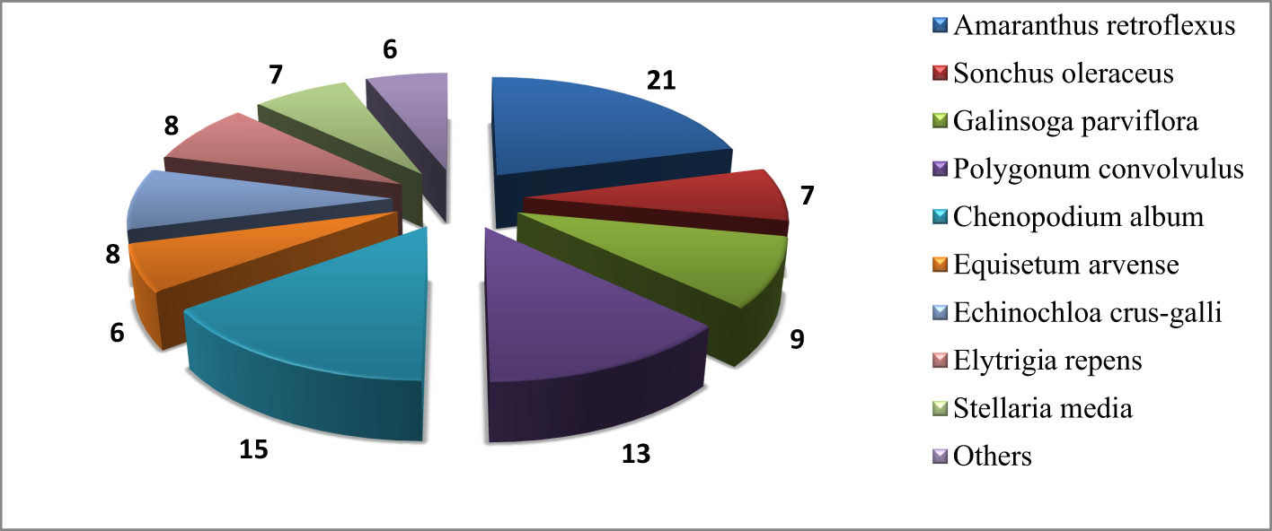 Figure 1 
               Species composition of weeds in the potato agrocenosis at harvesting, pcs/m2 (average for 2017–2020).
            