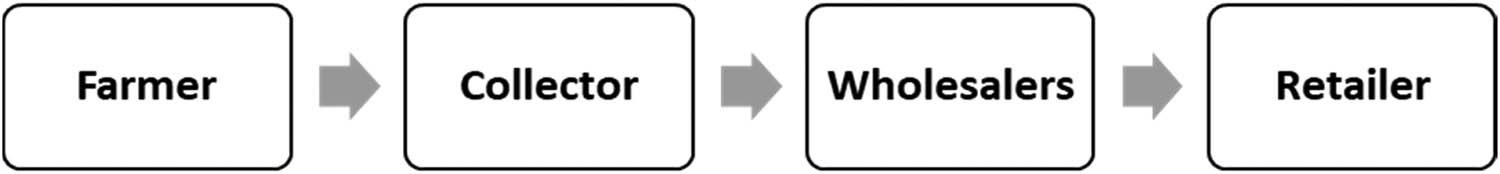 Figure 2
The second pattern of the potato trading channel.