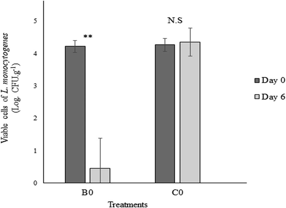 Figure 3 
                  Viability of L. monocytogenes in Atlantic salmon fillets after immersion in BLIS liquid and stored at 0°C. B0 was salmon fillets immersed in BLIS, inoculated with L. monocytogenes, and incubated at 0°C, C0 was a control in which the salmon fillets were immersed in sterile MRS broth prior to inoculation. ** represents a significant difference between TVC at day 0 and after 6 days stored at 0°C (p < 0.05).
               