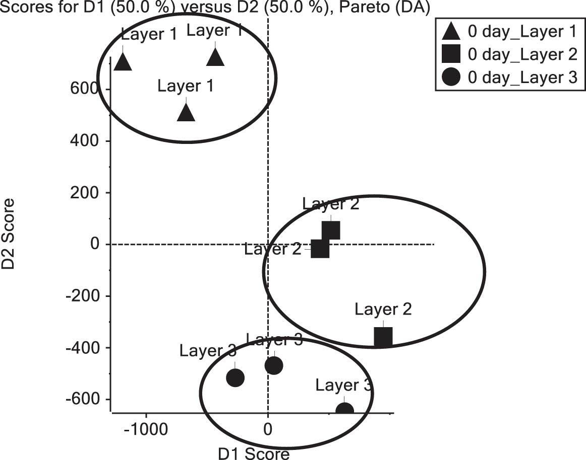 Figure 2
PCA scores plots of CC-DHs in three outer leaves of fresh cabbage.