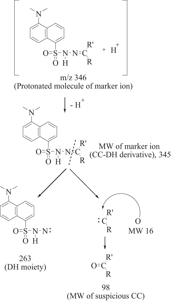 Figure 4
The fragment elucidation of marker ion for obtaining the molecular weight of predominant CC in the first layer of fresh cabbage.