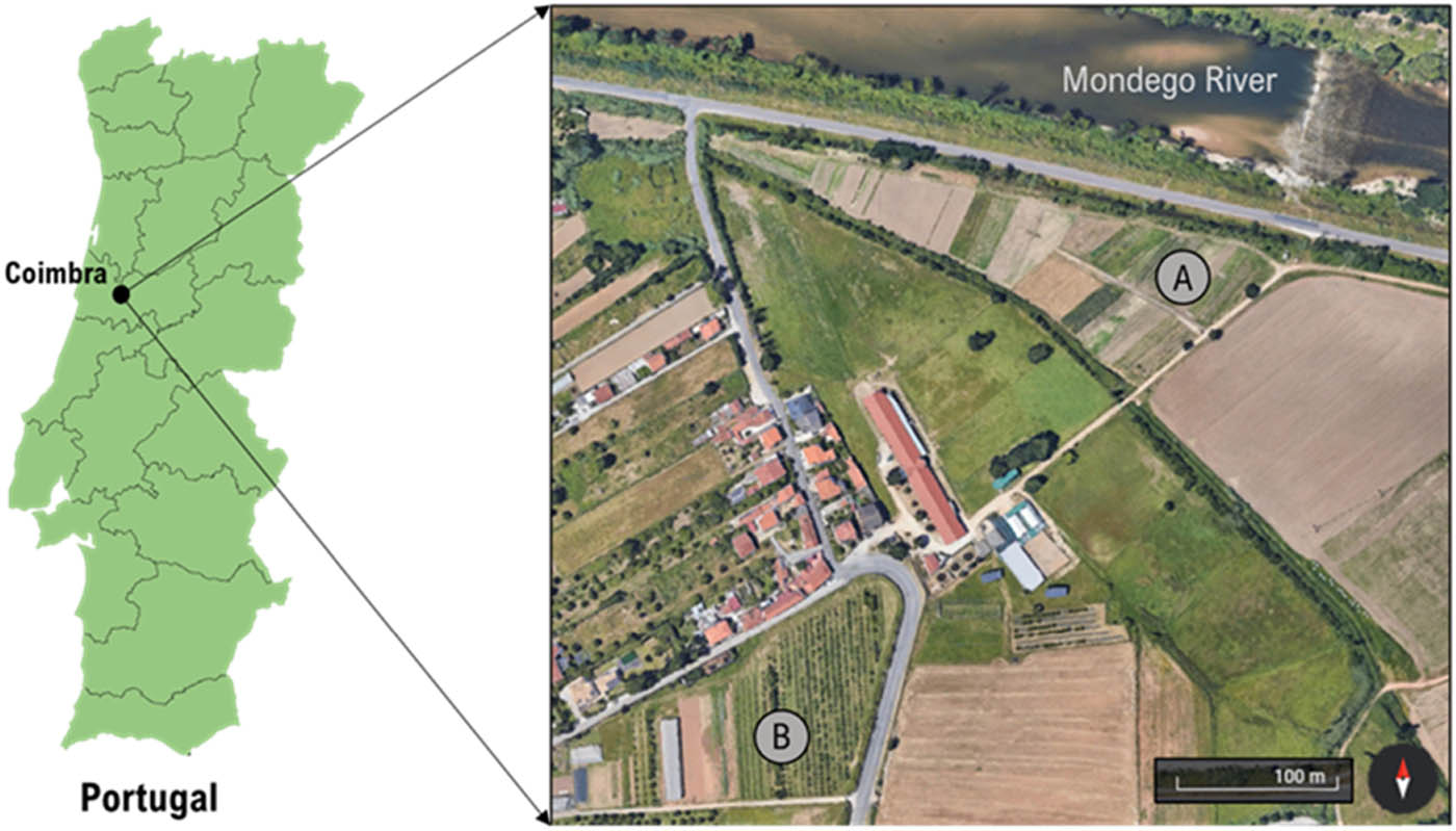 Figure 1 
                  Geographic location of the study site (A: horticultural field and B: orchard).
               