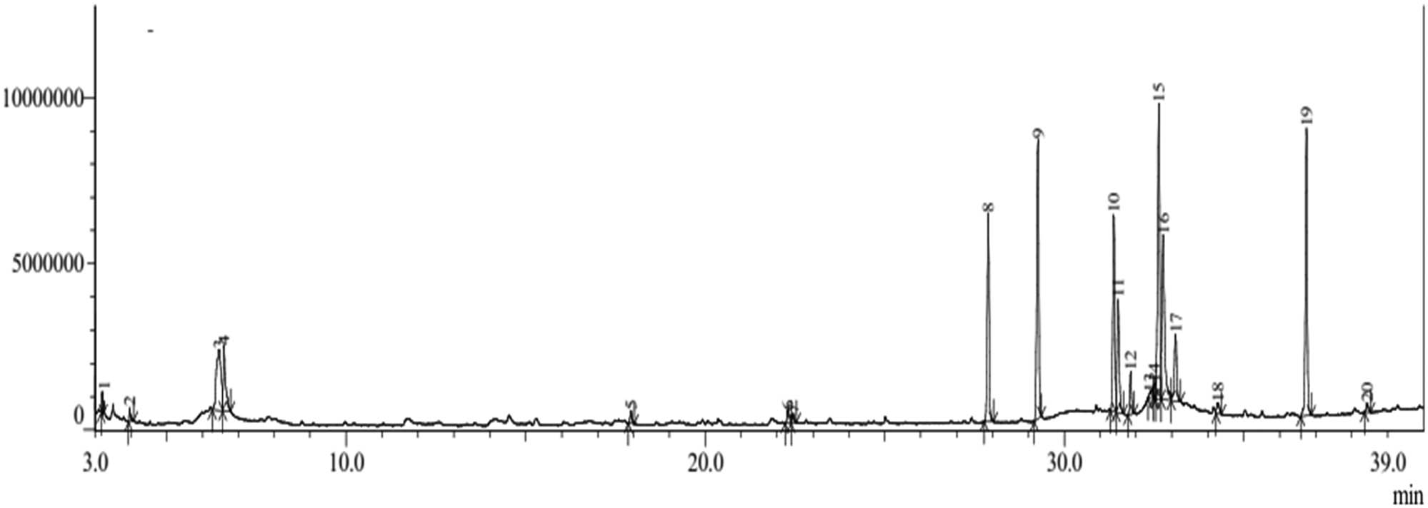Figure 3 
                     Chromatogram of GC–MS ethanol extract of H. beccariana Burck stem bark.
                  