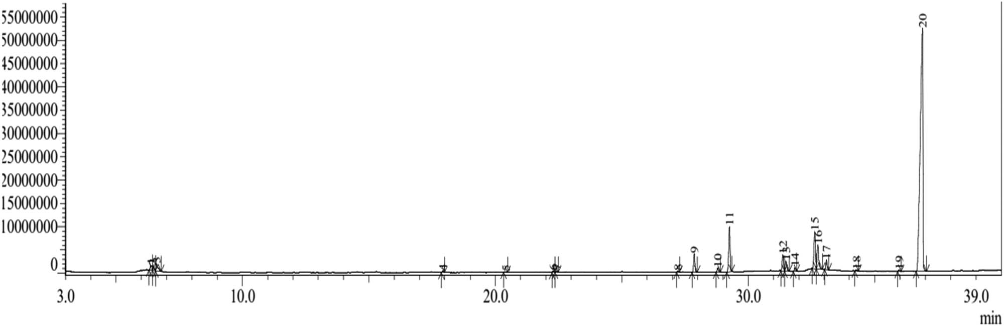 Figure 5 
                     Chromatogram of GC–MS n-hexane extract of H. beccariana Burck stem bark.
                  
