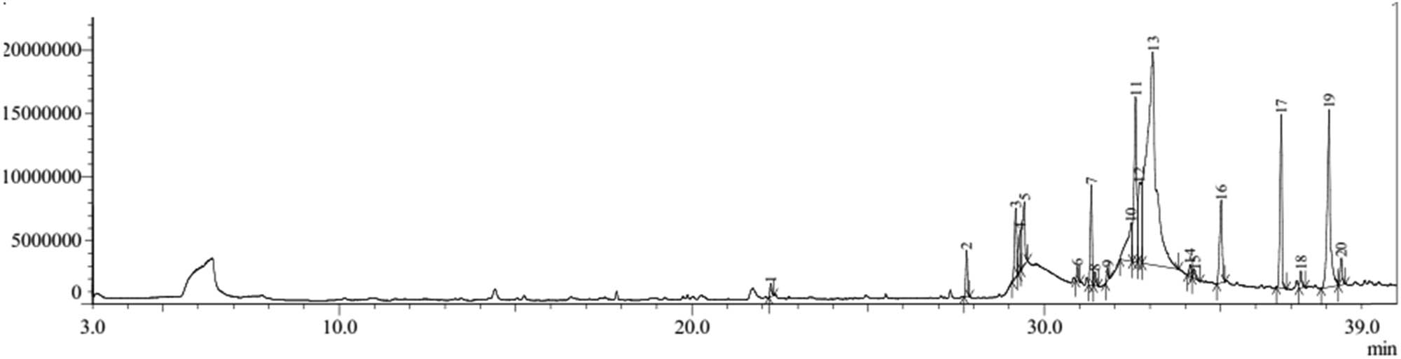 Figure 6 
                     Chromatogram of GC–MS water 60°C extract of H. beccariana Burck stem bark.
                  