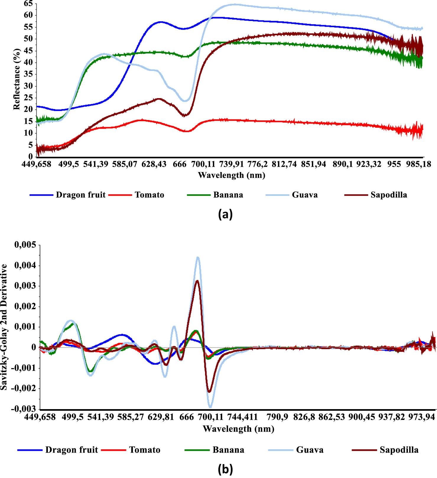 Figure 2 
                  Reflectance spectra of dragon fruit, tomato, banana, guava, and sapodilla developed using (a) original spectra and (b) SGD2 spectra.
               