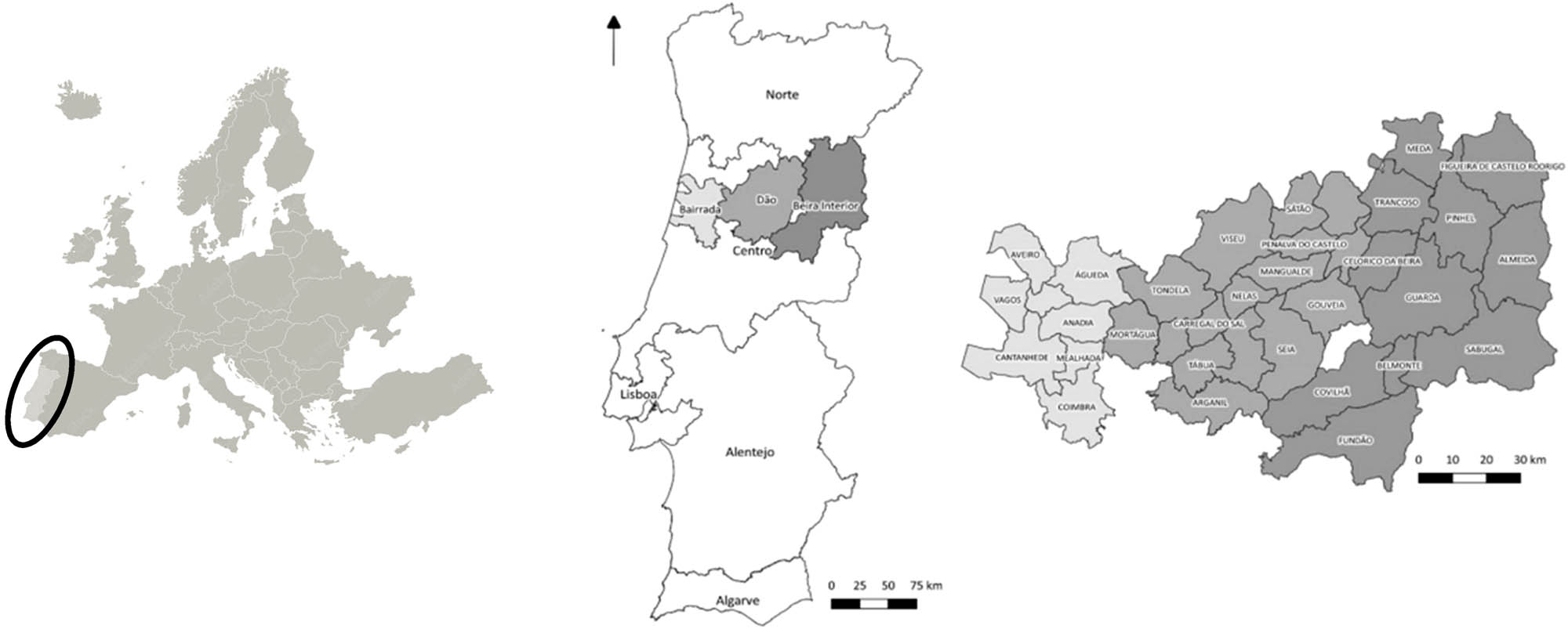 Figure 1
The Bairrada, Dão, and Beira Litoral wine routes.