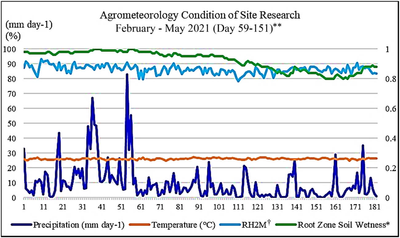 Figure 1
Climate condition. *The root zone wettability percentage value of 0 indicates that the soil was completely free of water and a value of 1 indicates the soil was completely saturated, where the root zone was the layer from the surface 0 to 100 cm below the soil. †RH2M is the relative humidity (%) at 2 m. **Source of data: NASA POWER Data Access Viewer-Prediction of worldwide energy resource-agro climatology location of latitude −8.0972, longitude 110.8008, 2021. https://power.larc.nasa.gov/data-access-viewer/.