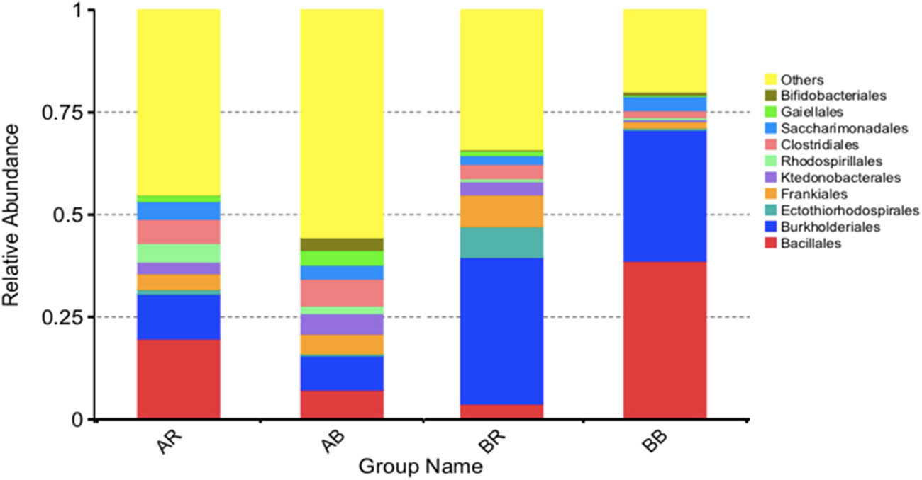 Figure 5 
                  The relative abundances of bacteria at the order level in different samples. AR – non-saline rhizospheric soil; AB – non-saline bulk soil; BR – saline rhizospheric soil; BB – saline bulk soil.
               