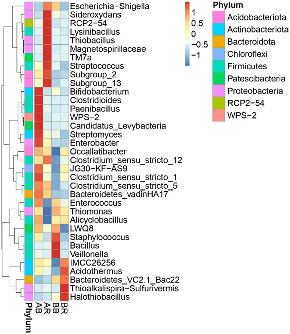 Figure 6 
                  Heatmap showing the relative abundance of the most abundant bacterial genera in different samples. AR – non-saline rhizospheric soil; AB – non-saline bulk soil; BR – saline rhizospheric soil; BB – saline bulk soil.
               