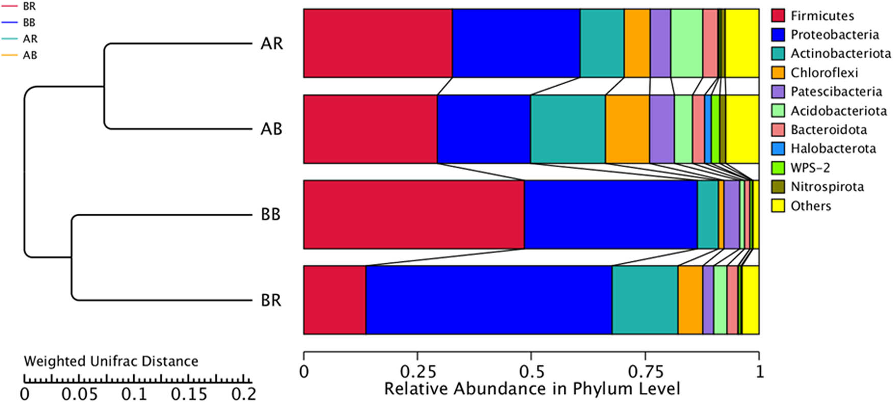 Figure 7 
                  UPGMA clustering tree of the bacterial community structure based on Weighted UniFrac Distance at the phylum level. AR – non-saline rhizospheric soil; AB – non-saline bulk soil; BR – saline rhizospheric soil; BB – saline bulk soil.
               