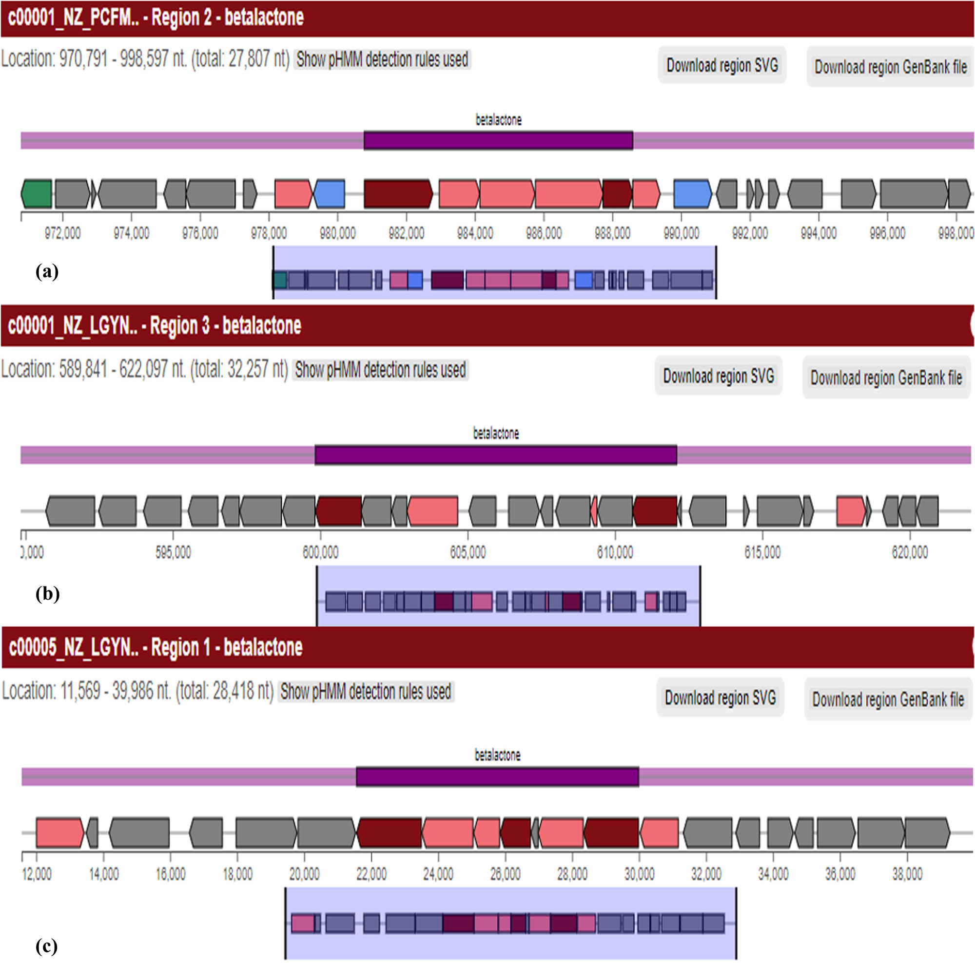 Figure 7
Comparison of BGC map of beta-lactone. (a) Shows beta-lactone synthesizing region 1.2, which is a 27,807 nt long gene, whereas (b) and (c) show the beta-lactone regions 1.3 (32,257 nt) and 5.1 (28,418 nt), respectively, in B. australimaris reference genome.