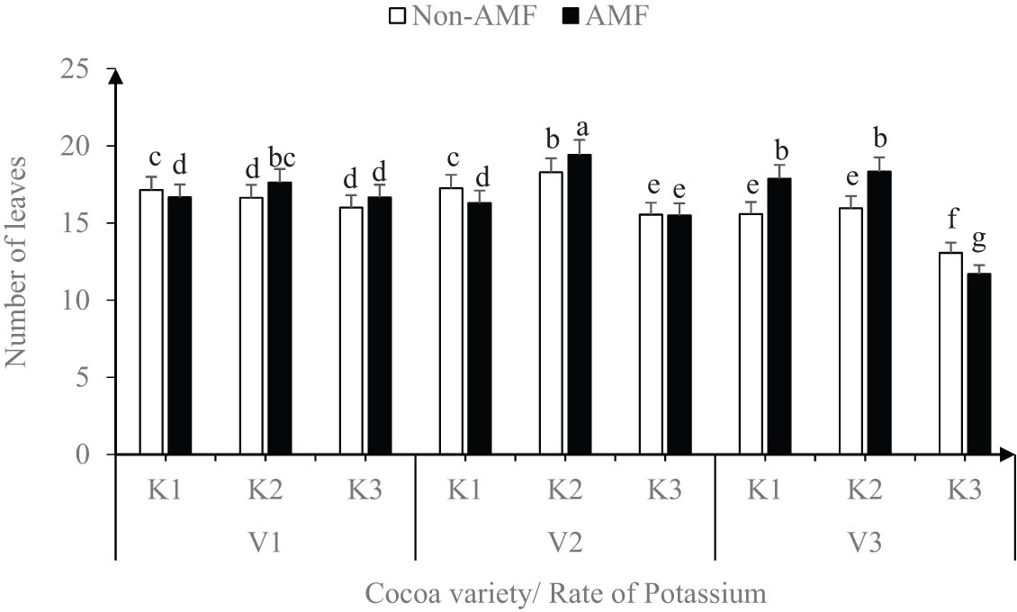 Figure 3 
                  Effect of variety, AMF, and rate of potassium on number of leaves. 
                        
                           
                           
                              V
                              1
                              =
                               CRG
                              8914
                              ×
                               PA
                              150
                              ,
                               V
                              2
                              =
                               AMAZ 
                              15
                              –
                              15
                              ×
                              EQX
                              78
                               and V
                              3
                              =
                               PA
                              150
                              ×
                              CRG 
                              0314
                           
                           {\rm{V}}1={\rm{CRG}}8914\times {\rm{PA}}150,{\rm{V}}2={\rm{AMAZ}}15\mbox{--}15\times {\rm{EQX}}78{\rm{and\; V}}3={\rm{PA}}150\times {\rm{CRG}}0314
                        
                      (error bars represent SEs).
               