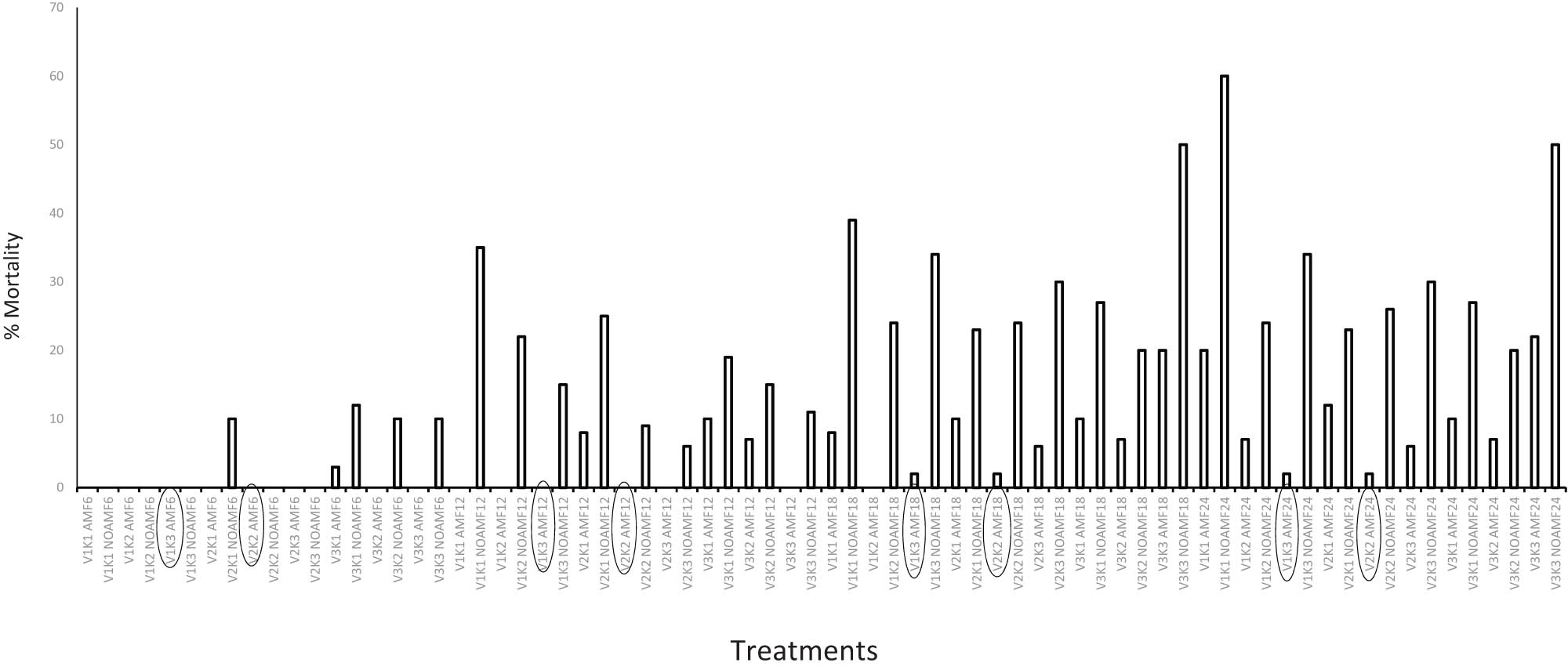 Figure 7 
                  Mortality pattern of cocoa genotypes at different seasons (rainfall and drought) under field conditions over a period of 2 years. V1 – Variety 1 (CRG8914 
                        
                           
                           
                              ×
                           
                           \times 
                        
                      PA150). V2 – Variety 2 (AMAZ 15–15 
                        
                           
                           
                              ×
                           
                           \times 
                        
                      EQX78). V3 – Variety 3 (PA150 
                        
                           
                           
                              ×
                           
                           \times 
                        
                      CRG 0314). K1 – K @ 0g/plant. K2 – K @ 2g/plant. K3 – K @ 4 g/plant. AMF – arbuscular mycorrhizal fungi. NOAMF – no arbuscular mycorrhizal fungi. Survival count @ 6 months in July 2020 (during the rainy season). Survival count @ 12 months in January 2021 (during the dry season). Survival count @ 18 months in July 2021 (during the rainy season). Survival count @ 24 months in January 2022 (during the dry season). Circled treatments show treatment combinations with interesting performance observations from 6 months to 2 years.
               