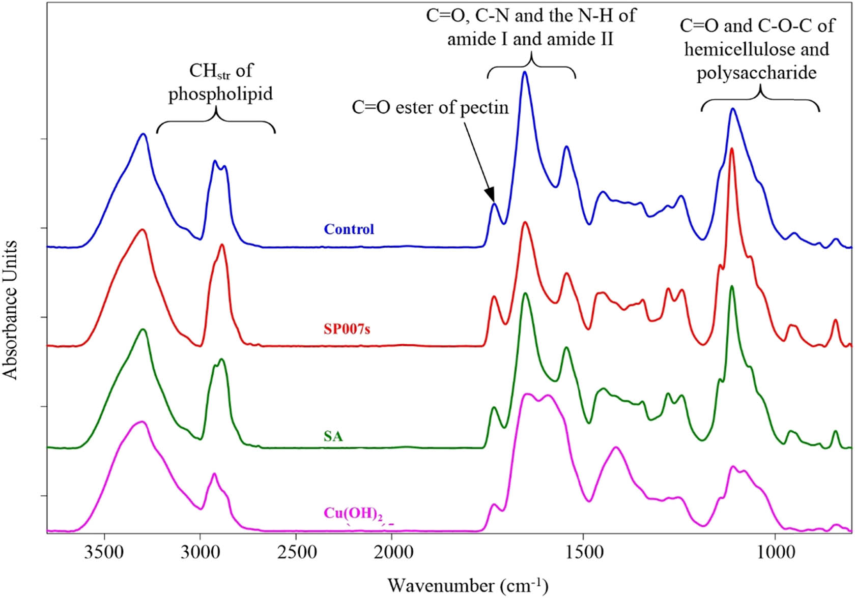 Figure 2
The average original spectra of soybean tissue (mesophyll) from the water-mock treated samples (control), Pseudomonas fluorescens SP007s-treated (SP007s), SA treated, and copper hydroxide (Cu(OH)2) treated were measured by SR-FTIR microspectroscopy.