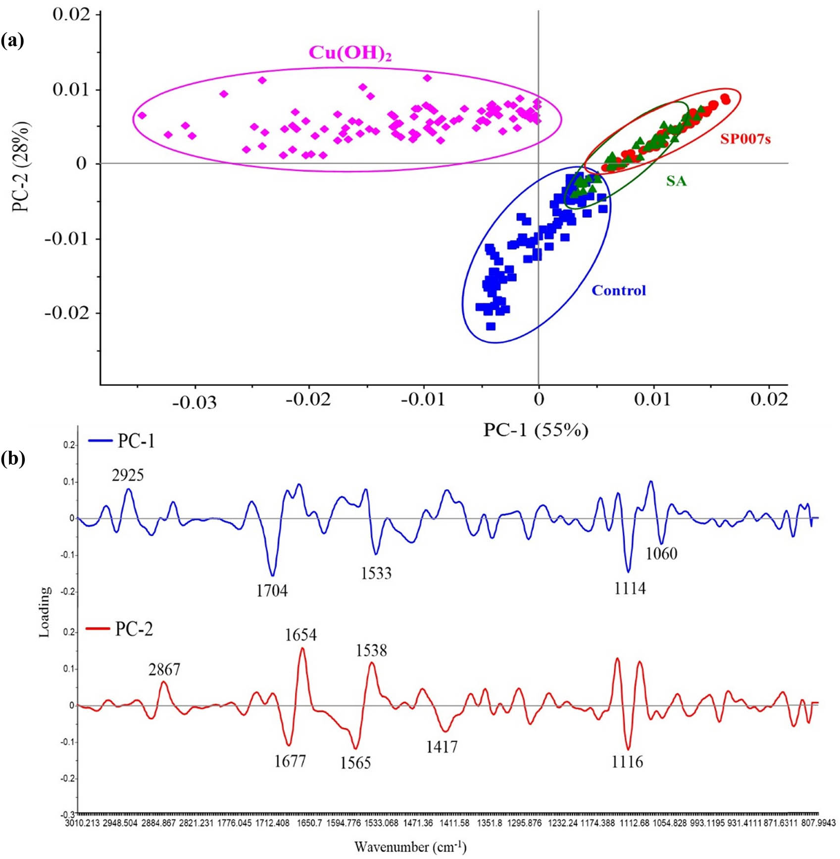 Figure 3
(a) The categorization of soybean tissue on each treatment using PCA score plots. (b) Loading factors of PC1 and PC2 correspond to the PCA score plots of SR-FTIR microspectroscopy.