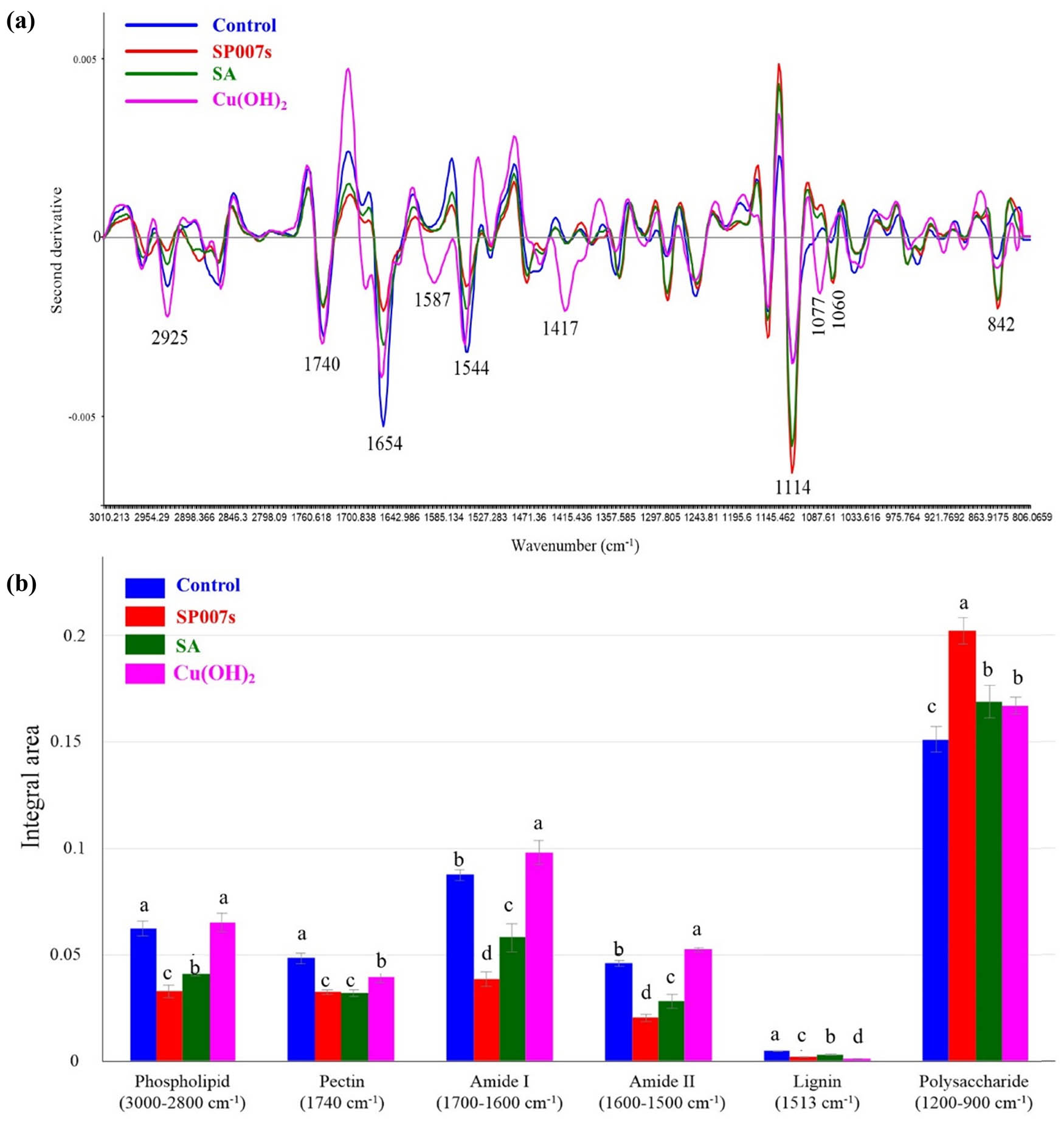 Figure 4
(a) Overlay of the second derivative of the average spectra from the soybean mesophyll-treated sample, including Pseudomonas fluorescens SP007s-treated (SP007s), SA-treated, and copper hydroxide-treated (Cu(OH)2) compared with water-mock treated (control). (b) Integral areas of absorbance between 3,000 and 900 cm−1. Mean values in the graph followed by different letters are significantly different according to DMRT at p ≤ 0.05.