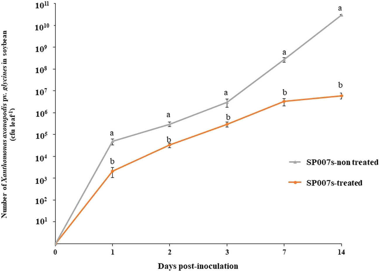 Figure 7
Growth curves of Xanthomonas axonopodis pv. glycines in the soybean plant samples treated and non-treated with Pseudomonas fluorescens SP007s, which were inoculated with Xag under greenhouse conditions. 0 days is before inoculation. The mean in the column followed by the same letter (a, b) is a non-significance difference according to DMRT at p ≤ 0.05.