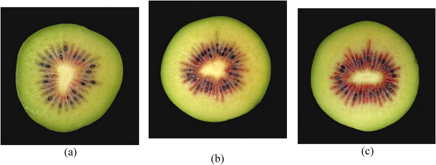 Figure 7
Comparison of inner pericarp color intensity in fruits from (a) Rasht, (b) Talash and (c) Langarud at harvest.