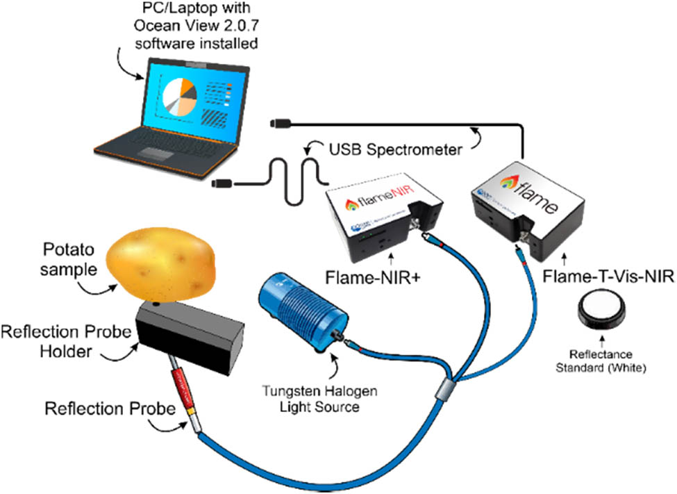 Figure 2 
                  Combined Vis–NIR and SW–NIR spectroscopy setup.
               