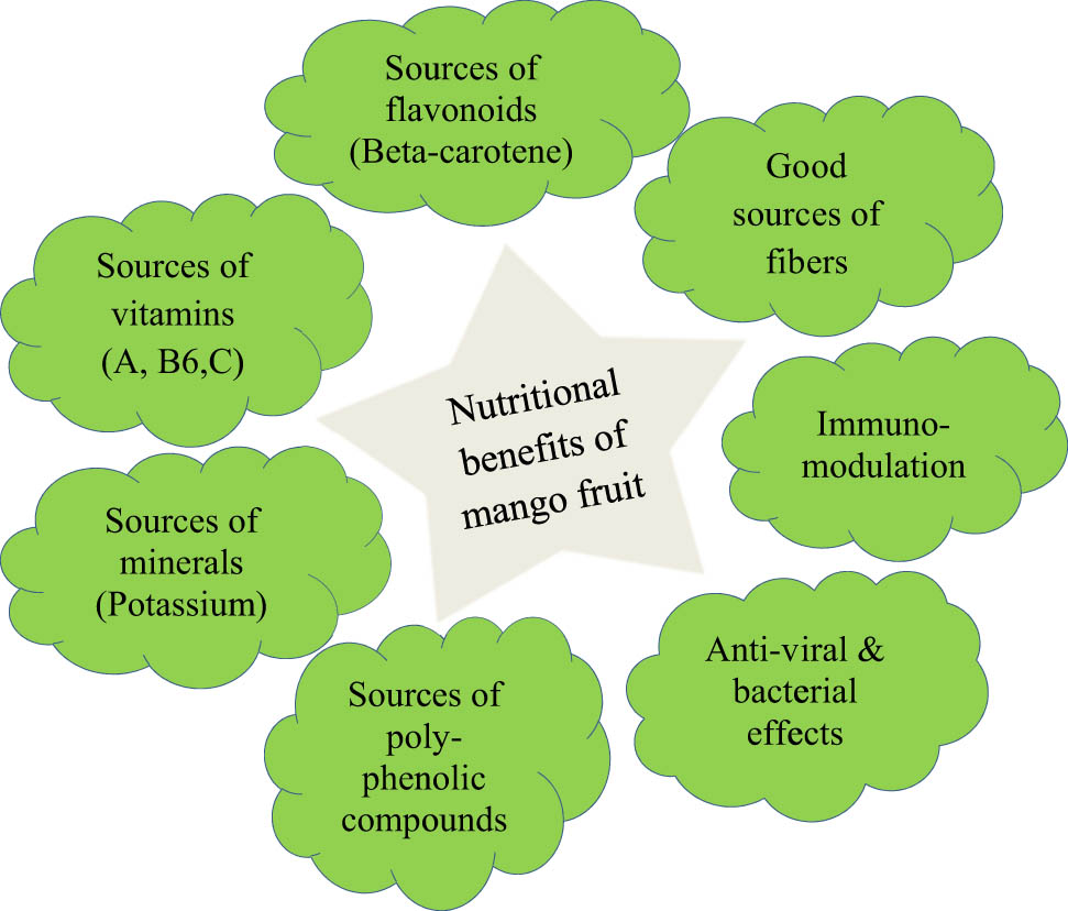 Figure 1 
               Nutritional benefits of mango fruit (Short summary).
            