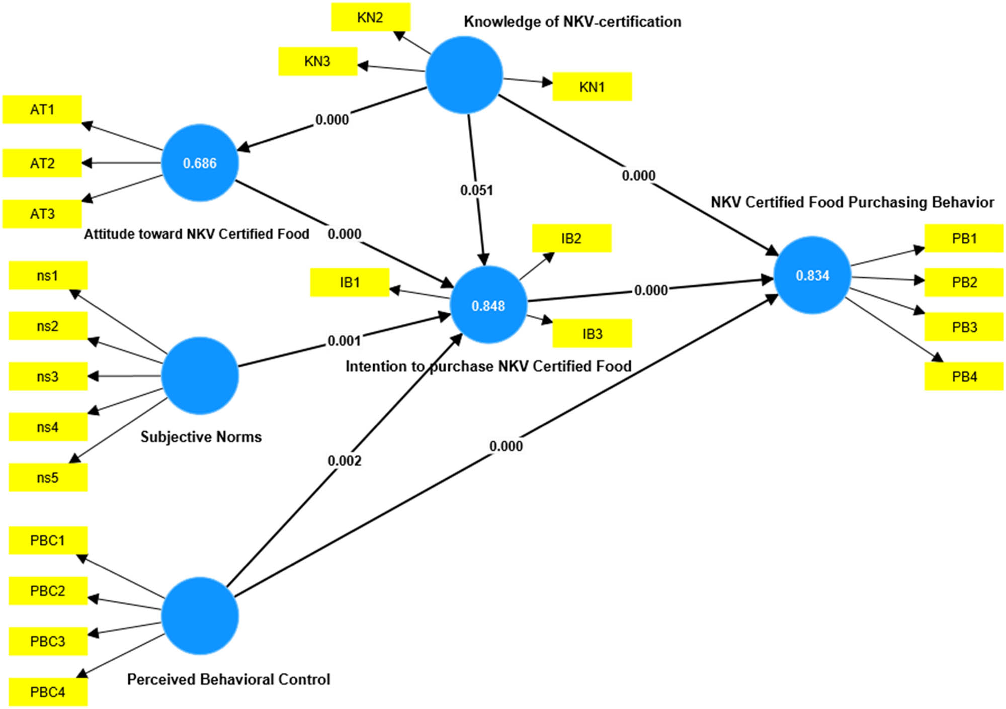 Figure 1 
               Measurement and structural model analysis.