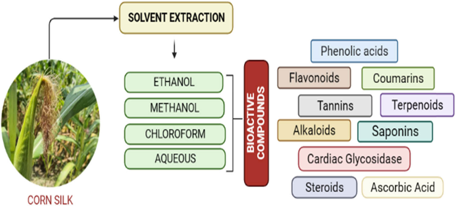 Figure 1 
               Phytochemical constituents found in various CS extracts. Source: Figure prepared by the authors.
            