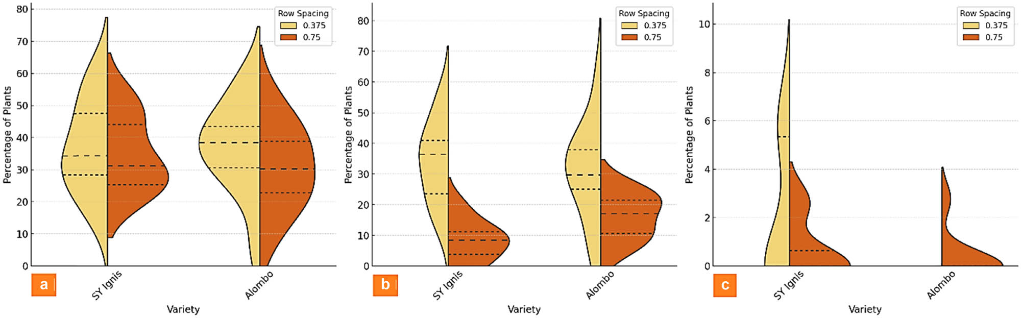 Figure 4 
                  Distribution of maize plants with tillers per row: (a) one tiller, (b) two tillers, and (c) three tillers.
               