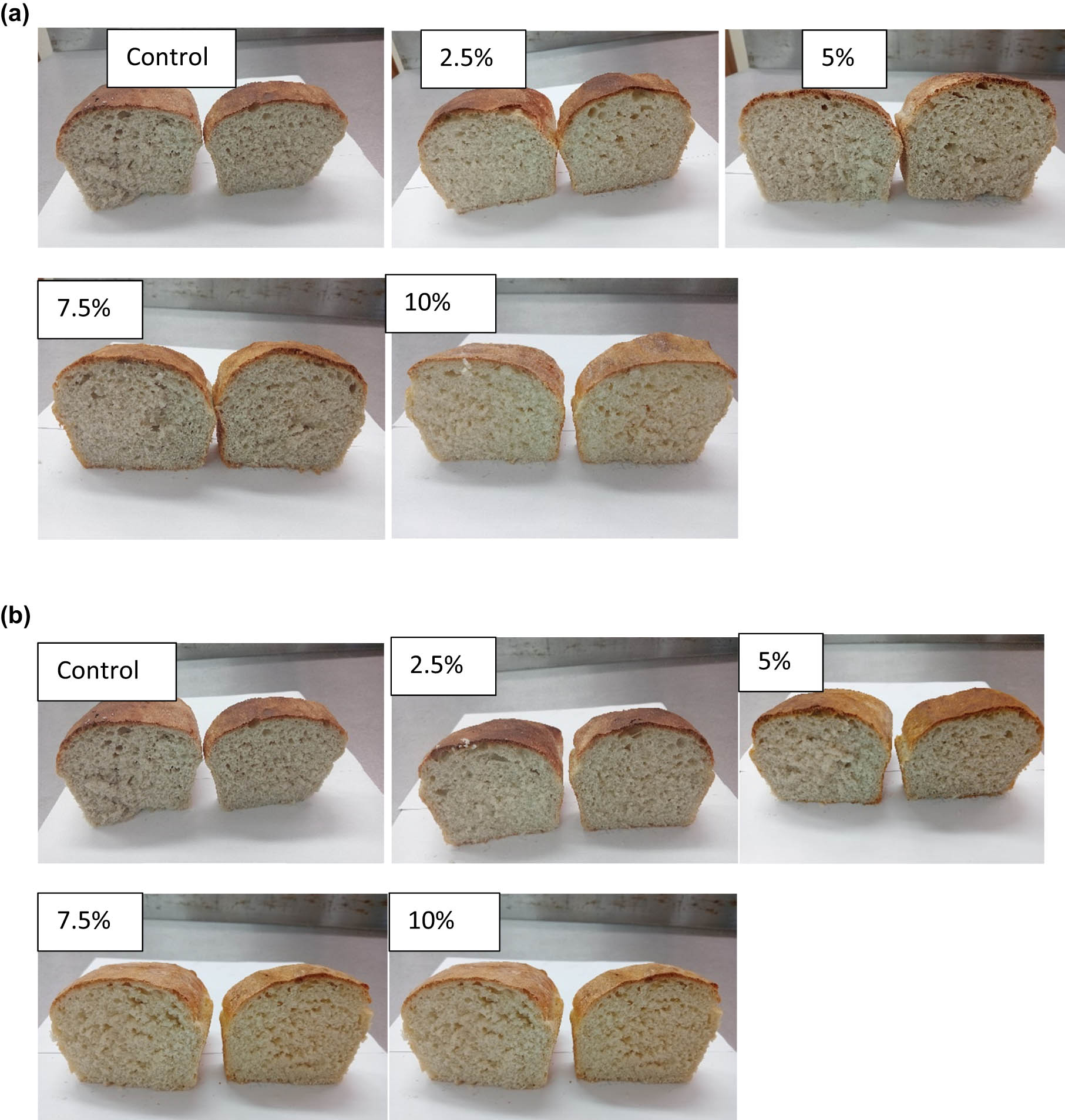 Figure 1
White bread formulated with (a) Luvhele flour and (b) Mabonde flour.