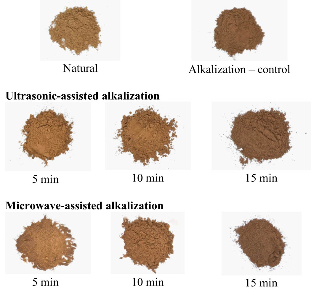 Figure 3
Appearance of alkalized cocoa powder.
